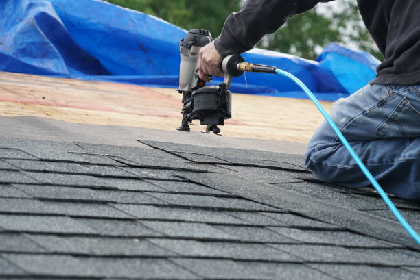 Best Roof Gutter Cleaning  in Steilacoom, WA